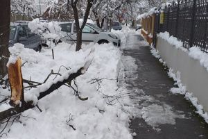 Poliţia Locală a împărţit somaţii pentru curăţarea trotuarelor pe codul portocaliu