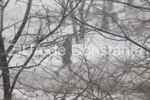 Vreme rece la malul marii: Se asterne zapada peste Constanta (galerie foto)