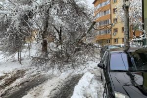 Dezastru pe străzile din Timişoara. Primăria spune poezii fără rimă