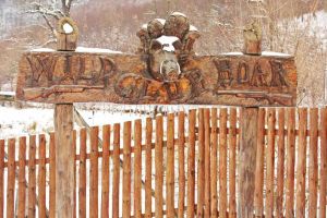 Pesta porcină se extinde: Numărul focarelor din Bihor a ajuns la 50, virusul s-a apropiat de domeniul lui Ţiriac de la Balc