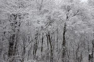 METEO: Miercuri, temperatura nu creşte peste 0 grade