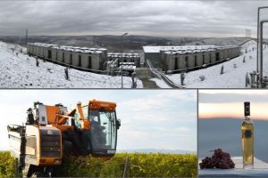 FOTO: Jidvei încheie un an de excepţie. Pentru 2019, îşi propune creşterea activităţii în zona de export