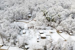 Anul 2018 în cifre pentru Muzeul Astra – Peste 620.000 de vizitatori