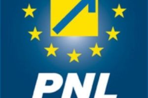 PNL şi USR au sesizat CCR cu privire la Secţia pentru investigarea infracţiunilor din Justiţie 
