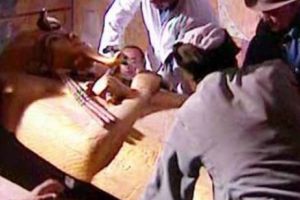 MOARTEA CARE TE RĂPUNE în doar câteva luni a îngrozit lumea. Nu există explicaţii. Breaking news