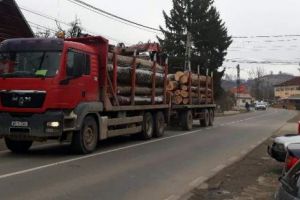 CAMPANII DE PRESĂ MARCA „ARGEŞUL” în 2018