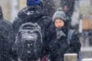 Decizie ISJ Timiş: Școli închise şi miercuri în judeţ