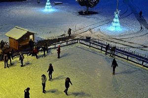 „Bătălia patinoarelor” – cine e mai câştigat, până la urmă?