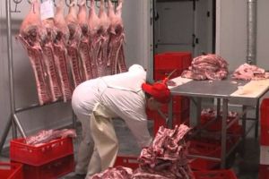 Amenzi de aproape 55.000 de lei şi sechestru pe zeci de kilograme de carne, aplicate de inspectorii DSVSA