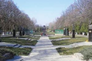 Administraţia Parcului Memorial „Constantin Stere” anunţă depunerea documentaţiei tehnice pentru obţinerea autorizaţiei de mediu pentru obiectivul Lac 1