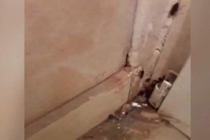 Aproape 6000 de amenzi în spitale. Nu s-au respectat normele de igienă