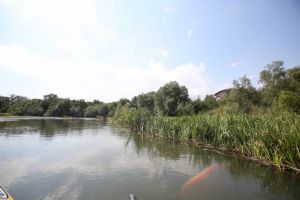 Șapte firme sunt interesate de repararea nodului hidrografic de la Sânmihaiu Român