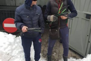 Vânzătorii de ştergătoare de parbrize, cu tupeu printre maşini! Nu se tem de gheţuş