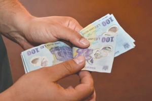 Statul dă 2.250 de lei lunar pentru fiecare persoană timp de un an. Ce criterii trebuie să îndeplineşti