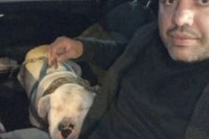 Emoţii printre VIP-uri: Raj, Escobar de România, a făcut 10 denunţuri