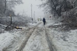 Comuna Săcelu, paralizată de zăpadă! Sate fără curent, fire căzute pe carosabil