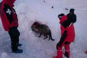 Risc ridicat de avalanşe în munţii din judeţul Suceava