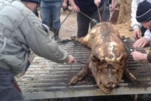 Tradiţii ROMÂNEŞTI. CE este INTERZIS în ziua de IGNAT. Sigur nu ştiai asta