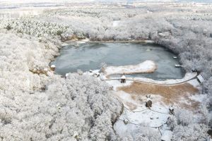 Programul de la Muzeul Astra şi Muzeul în aer liber de sărbători