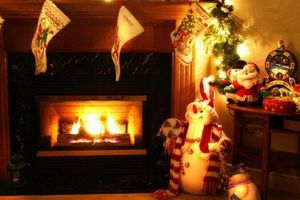 Recomandările poliţiştilor pentru perioada sărbătorilor