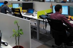 Sindicatul IT din Timişoara solicită compensări salariale