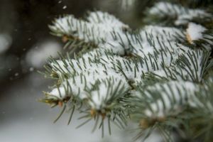 PROGNOZA METEO. Cum va fi vremea în weekend