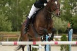 Campania “Sport pentru Toţi Copiii”/Claudia Ghiţulescu, vicecampionă naţionala echitaţie: “Vreau să îi rog pe toţi părinţii să îşi susţină copiii să practice sport”