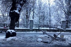 Un stâlp de electricitate şi doi copaci, puşi la pământ pe Bd. Republicii (FOTO)