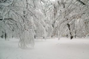 Unde a nins cel mai mult in Maramures