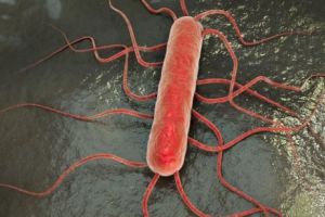 BACTERIILE din spitale au început SĂ UCIDĂ! Unde s-a întâmplat TRAGEDIA 