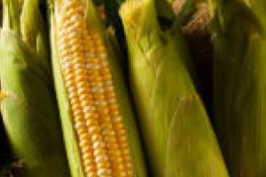 Consiliul Judeţean Timiş a stabilit preţurile medii ale produselor agricole pentru anul 2019