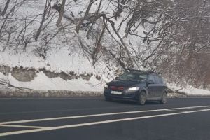 FOTO Pericol pe Valea Oltului. Zeci de copaci pot ajunge pe şosea