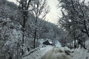 IPJ: În cadrul cercetărilor efectuate…