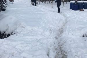 Jandarmii bistriţeni, mesagerii lui Moş Crăciun pentru o familie cu cinci copii din Jelna