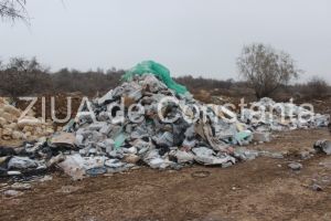 Imagini surprinse la fata locului: Un barbat a fost prins de angajatii ZIP in timp ce arunca gunoaiele in apropierea comunei Cumpana (galerie foto + video)  