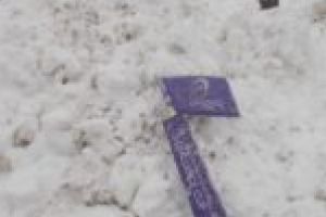 Previzibil: Timişoara Saracens, bună din nou de plată cu 30.000 de euro, după scandalul de la meciul cu Northampton Saints