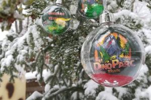 Grădina Zoologică, deschisă de sărbători. Surprize la Dino Parc, de Crăciun