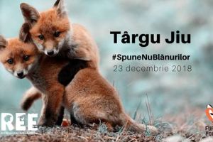 Campanie împotriva folosirii blănurilor naturale, astăzi, la Târgu Jiu