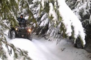 Jandarmii bistriţeni, cu efective mărite de sărbători. Unde vor acţiona