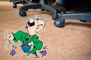 Mizerie în administraţie: Consiliul Judeţean Bihor are probleme şi la capitolul curăţenie