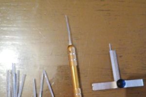 Au fost prinşi doi hoţi din locuinţe, la Zlatna. Al treilea este căutat de poliţişti. Bărbaţii sunt din Mureş