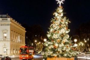 Norvegia NU UITĂ: Şi anul acesta a DĂRUIT Regatului Unit un BRAD de CRĂCIUN în semn de recunoştinţă