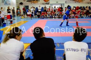 Cel mai bun sportiv roman din Kung-Fu in 2018 este din Constanta