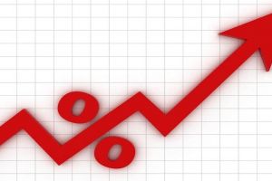 INS: Rata de ocupare a populaţiei a crescut la 71,3%, în al treilea trimestru