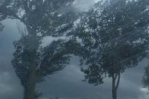 Alertă meteo imediată, în Bihor: Vântul va atinge 65 km/h. Vezi localităţile afectate!