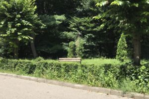 Bani pentru strada Trivale