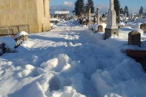 Liderii de sindicat de la Edilitara refuză cererea primarului Romanescu!