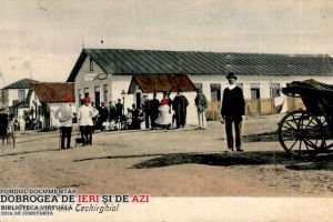 Evolutia Dobrogei in statistici, de la finele sec. XIX si pana la inceputul celui de-al Doilea Razboi Mondial. Partea a III-a (1930-1940). Detalii inedite din diverse sectoare