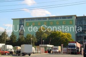 Mai multe constructii de pe strada Celulozei vor fi demolate. Ce a solicitat Dobrogea Grup SA de la APM Constanta (document) 