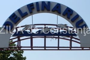 Delfinariul din Constanta se va extinde, cu fonduri de la Ministerul Turismului